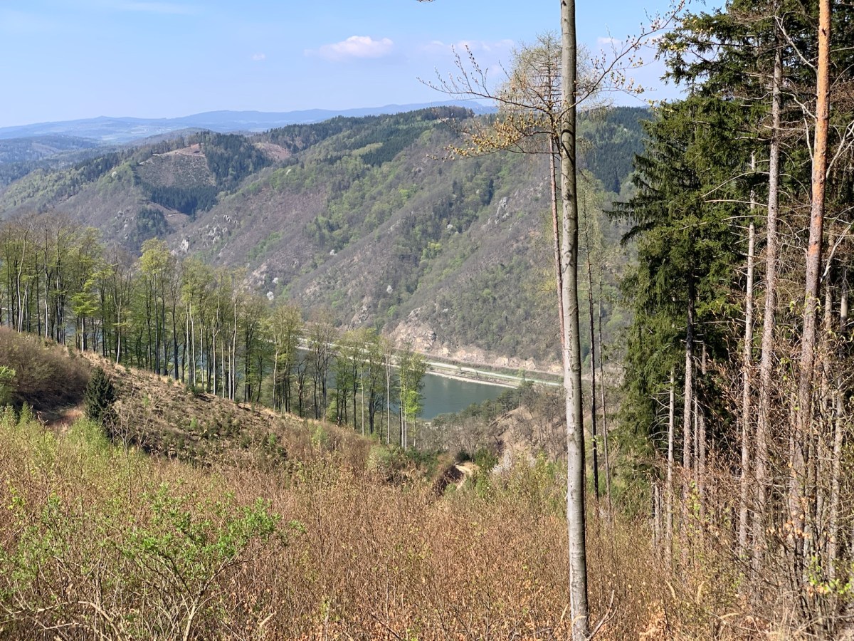 Welterbesteig Tag 1: Melk – Maria&nbsp;Langegg