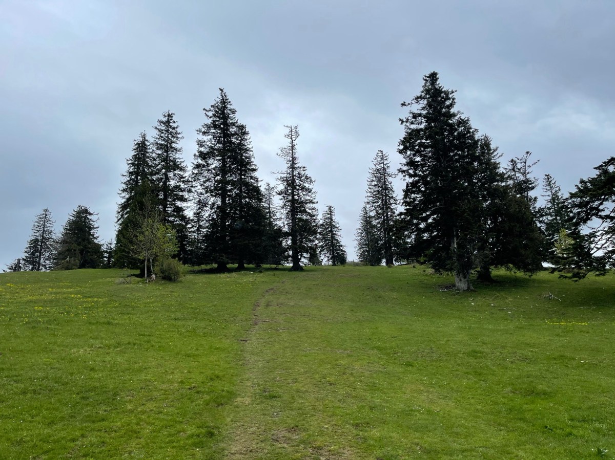 Wanderung auf die&nbsp;Hinteralm