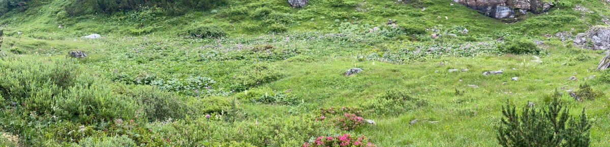 Tag 24: Obertauern – Südwiener&nbsp;Hütte